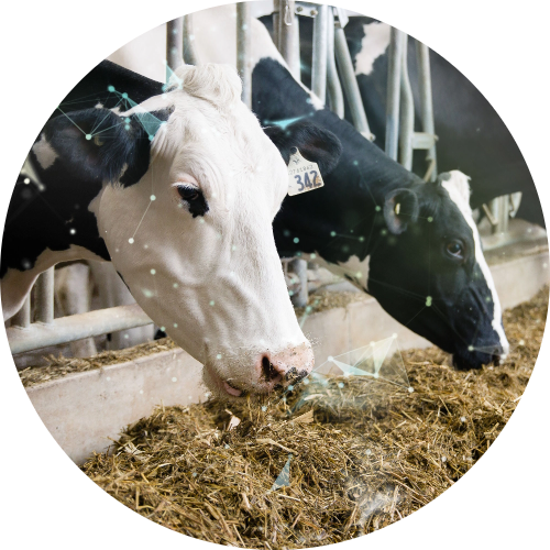 About us - CG Wellington is an innovative company that serves the dairy and other agricultural sectors with creative products and support.