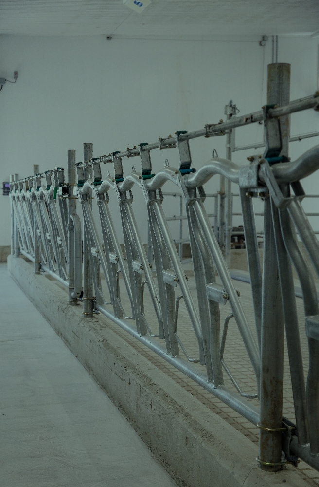 Innovative Farm and Animal Care Options